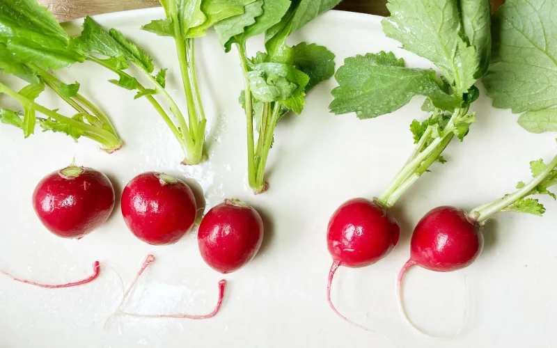 可愛いペットちゃんのおやつ ラディッシュの葉っぱ 葉 - メルカリ