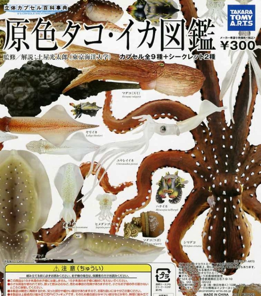 マルハニチロ いか味付 155g×24個入 送料無料 缶詰 イカ 甘辛仕立て楽天市場ポイント5倍+200ポイント！7 11 金 1時59分まで全品対象エントリー&購入 マルハニチロ いか味付155g×24個入× 2ケース送料無料 缶詰 イカ 甘辛仕立て : MISONOYA楽天市場店