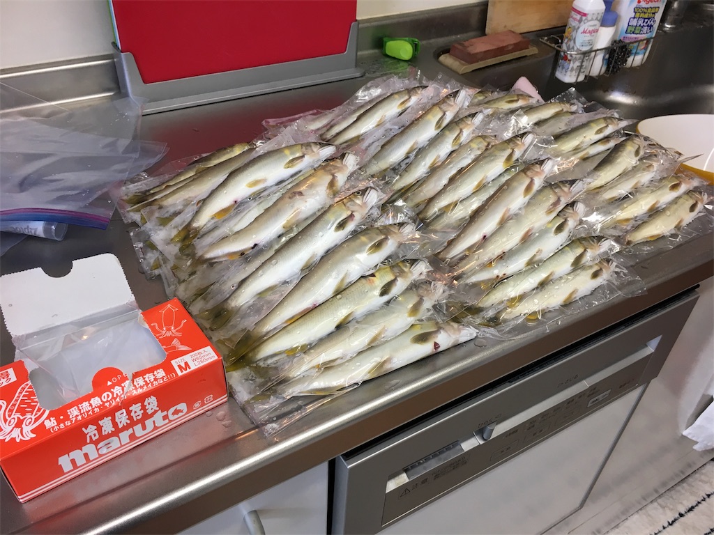 番外編ですが川魚には使える冷凍保存法 : 投げは友あれ