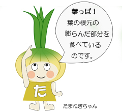 玉ねぎから芽が出た ！食べてもいい？捨てなきゃダメ？ - macaroni