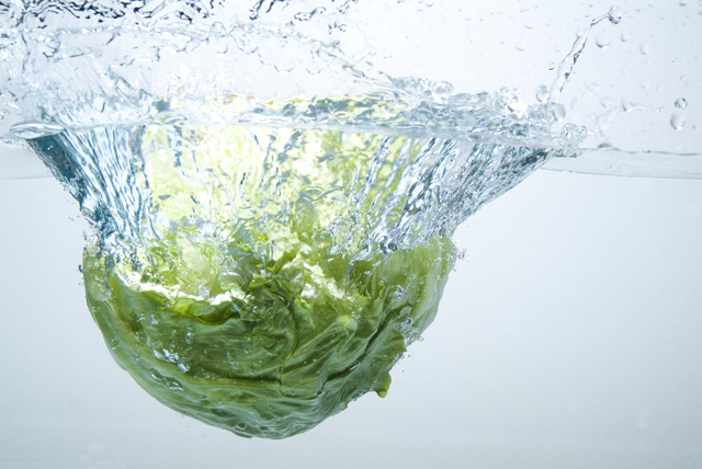しおれた葉物野菜をシャキシャキにする方法 冷たい水に漬ける？50度洗い？どちらがいいか検証！知っ得ライフハックイエモネ