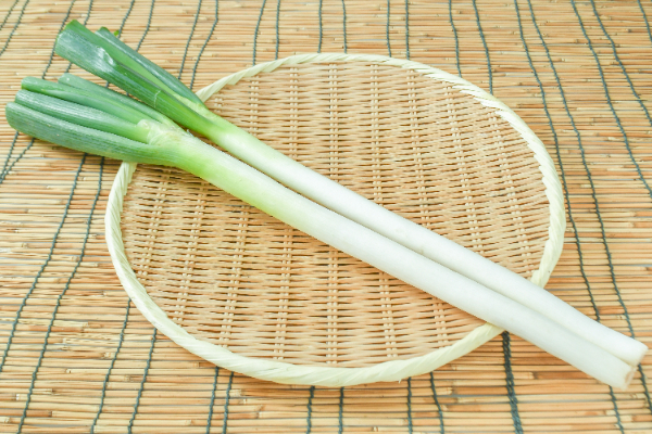 長ネギの白い部分は何と葉！ 青い部分のネバネバに潜む栄養成分とは ￼ -Webデザイン・動画編集ITスキル特化北池袋駅から徒歩3分、板橋区役所前駅から徒歩1分、所沢駅から徒歩2分、トップクラスのIT就職実績「自分らしく働く」が叶う