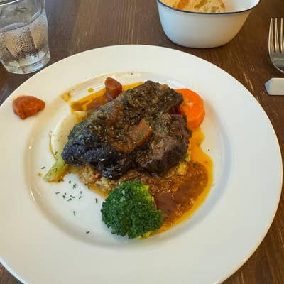 フランス食堂「モンテ」 コスパも接客も最高のお店！猫井 登