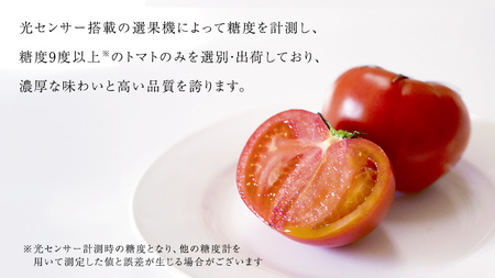 トマトのハニーマリネ♡ヒルナンデスレシピ レシピ・作り方 by みずいろいろ - 楽天レシピ