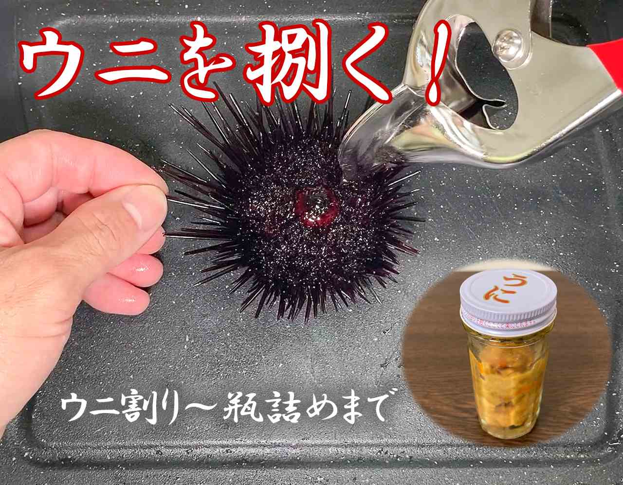 バフンウニ 馬糞うに を食べました。殻の開け方はこんな風に・: ぷくの簡単料理レシピブログ