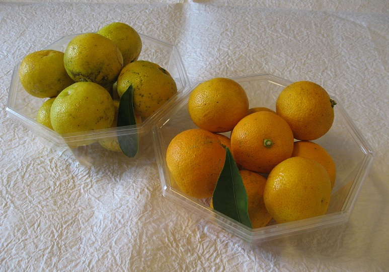 すだちを大量消費したい！使い道に迷わないレシピ10選で美味しく爽やかに頂こうfolk