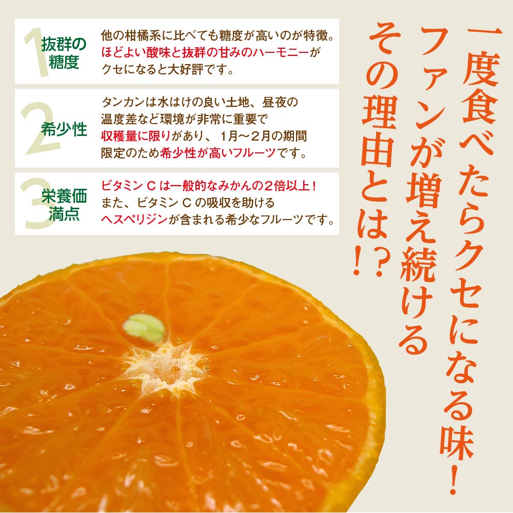 古くから沖縄で食される、沖縄在来種のミカン「カーブチー」とは？ – オリオンストーリ