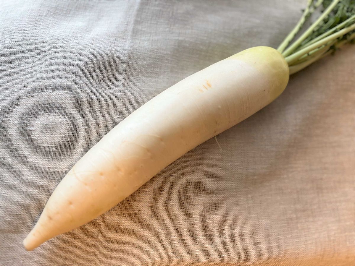 ふにゃふにゃになった大根を捨てないで！」しなびた大根が復活する方法を試してみたサンキュ