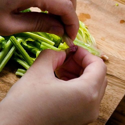 ほうれん草の切り方ざく切り