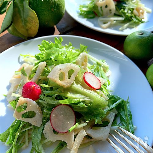かぼす湯豆腐 - 高橋商店