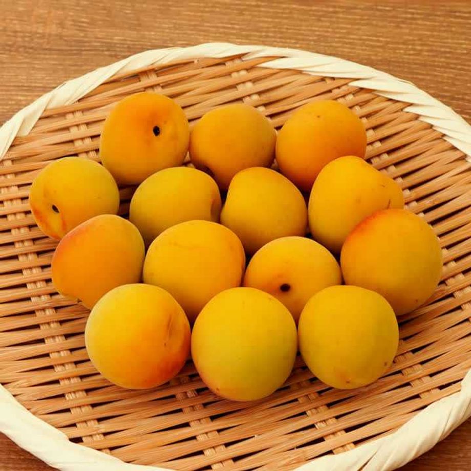 追熟梅 梅干し用 秀品 A級3L 10kg