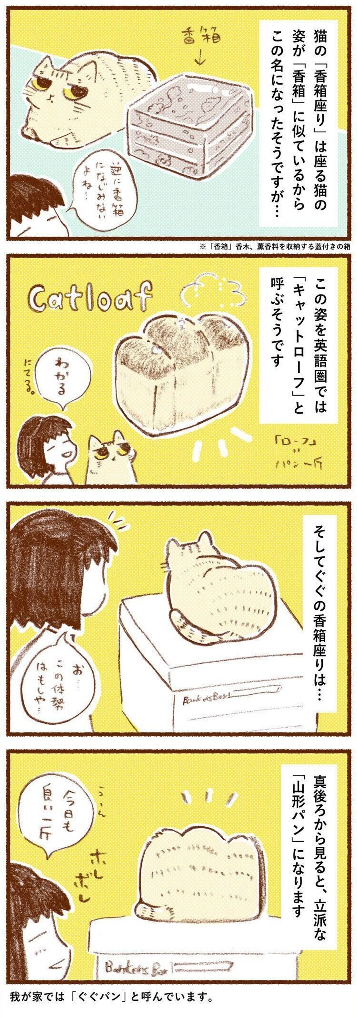 パンは英語ではなかった?! 正しい表現を翻訳のプロが説明WORLDMENU ワールドメニュー