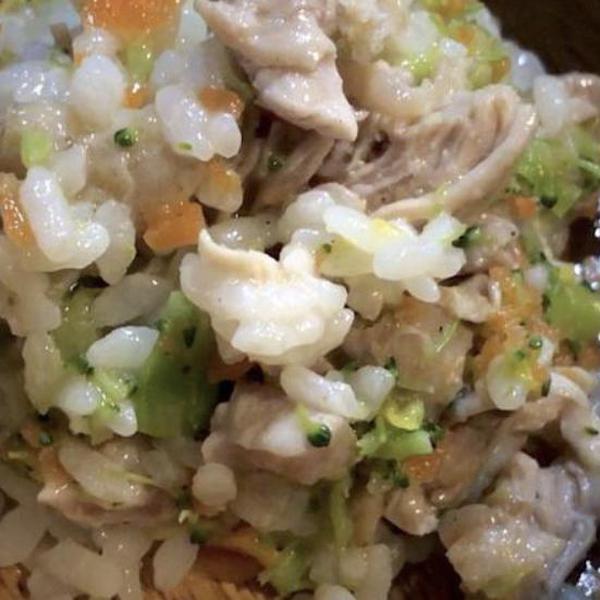 作り置きで簡単！犬の健康ごはん 作り置きで簡単！犬の健康ごはん