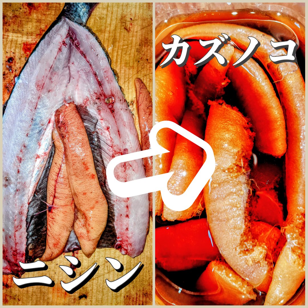 塩カズノコ 手で握ったような「にぎりこ」ザ・豊洲市場 公式