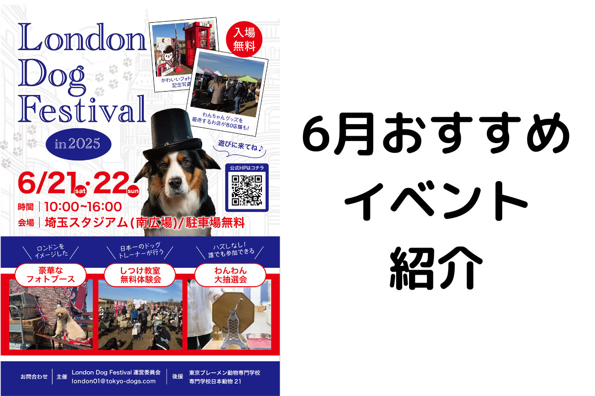 @saitamasweets's video Tweet