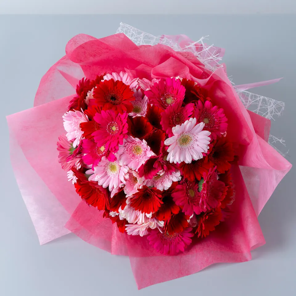 ガーベラの花言葉 赤・ピンク・黄色など色別・本数別の意味を紹介