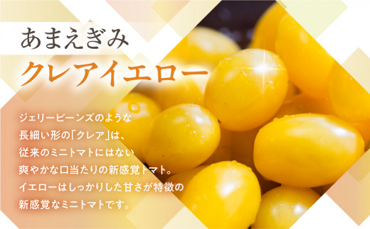 イエローミニトマトベリーベリーファーム上田