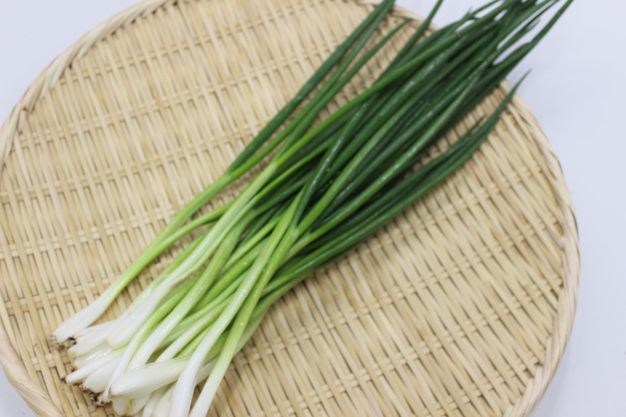 Amazon.co.jp: 北海道産 玉ねぎ 黄玉葱 10kgJA共撰 M-Lサイズ旬 きたまねぎ たまねぎ 玉ネギ 玉葱 ギフト ご家庭用秋野菜 北海道 グルメ お取り寄せ : 食品・飲料・お酒