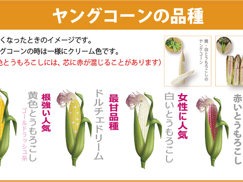 ヤングコーンの冷凍保存アラフォーシングル男の自由気ままな沖縄ライフ