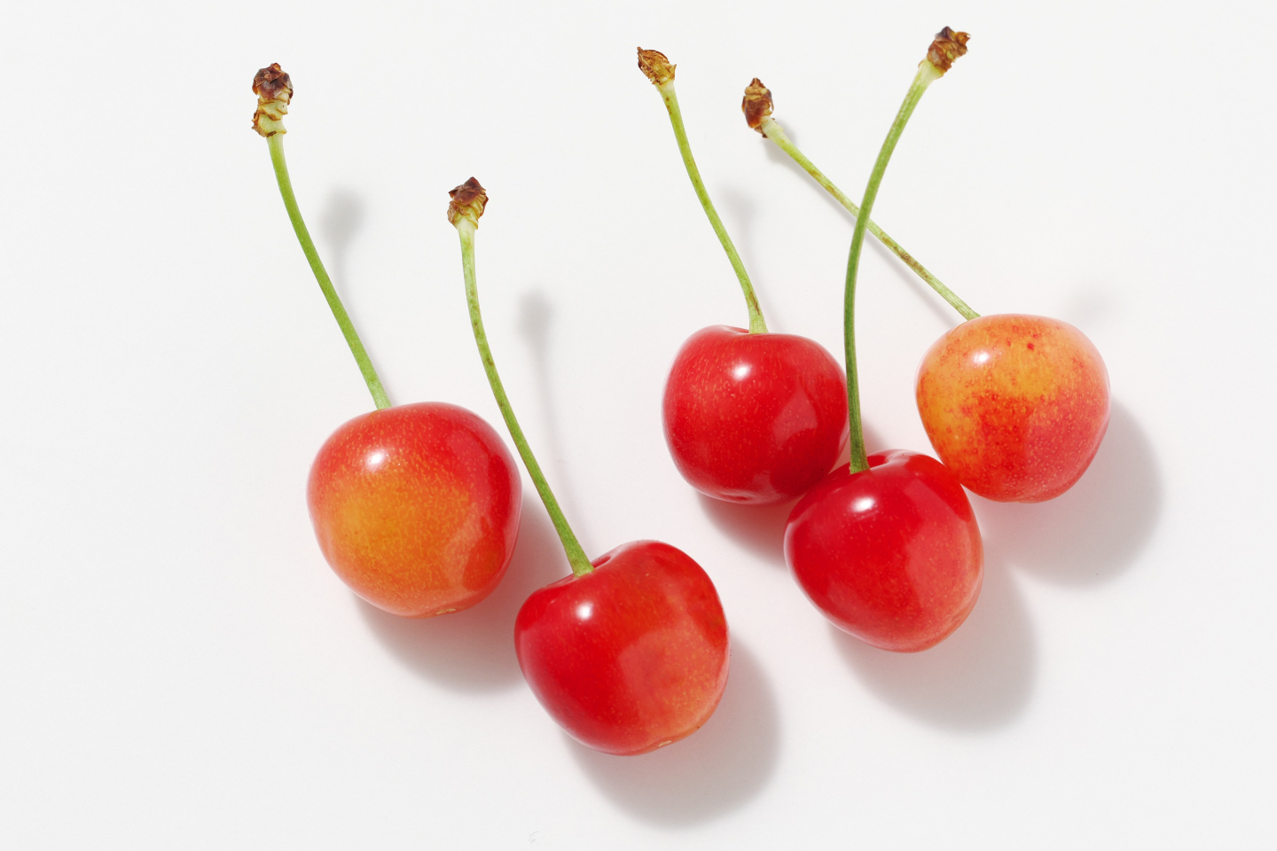 大根の保存方法、長持ちのコツ生活知恵袋