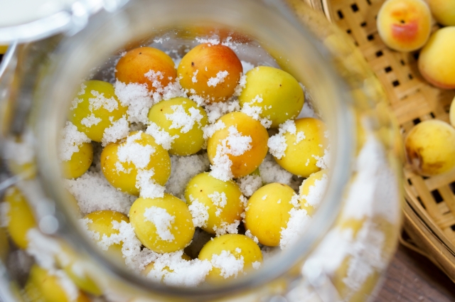 塩分8%の梅干しを作ろう。これならカンタンにできる！ 甘くて、干さない、ジップロック漬けレシピHugKum はぐくむ