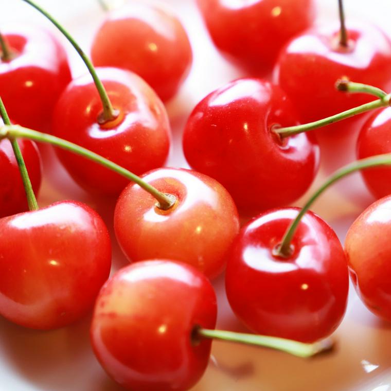 さくらんぼ コロンコロン・コロンなウサギ