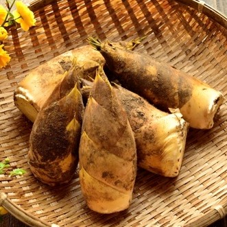 春を告げる旬の味！知って嬉しい「たけのこ」の豆知識