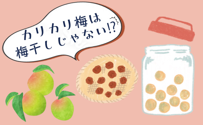 実録！アプリコットで梅干し 梅じゃない干さない は作れるのか