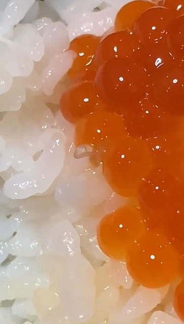 イクラの醤油漬けを食べたらアニサキスに感染!!自家製は要注意!?かっつ飯 飯テロ検定準2級保持者のバズり飯~インスタ界最強の男飯