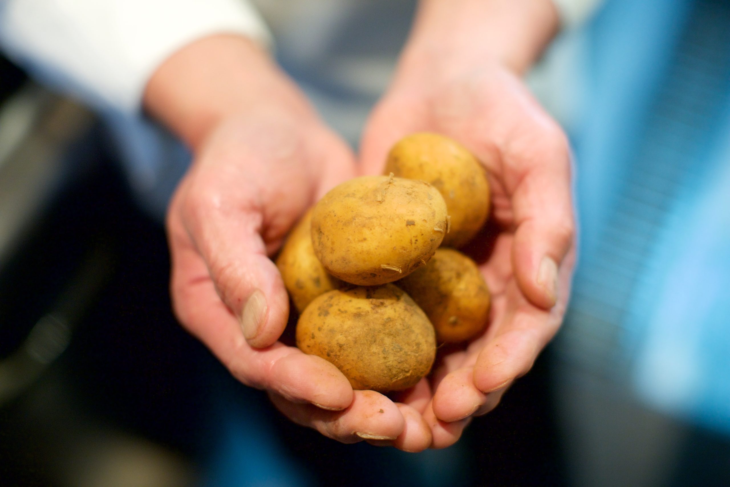 じゃがいも - 本八幡 洋食食べログ