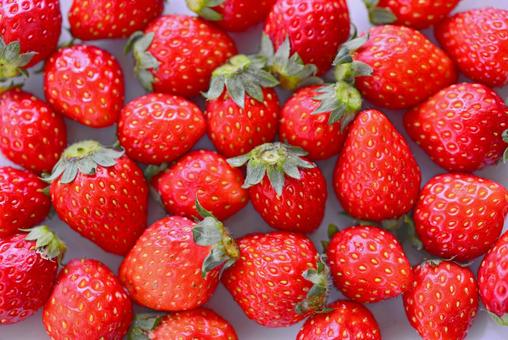 いちごのフリーイラストフリーイラスト・クラシック フリクラ