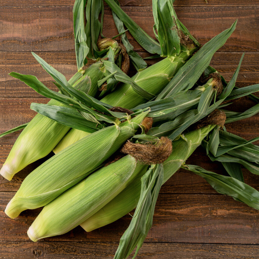 とうもろこしはフライパンで蒸すと旨味がギュギュッ！甘くて最高！ ちょこっと漬け♯81kufuraクフラ