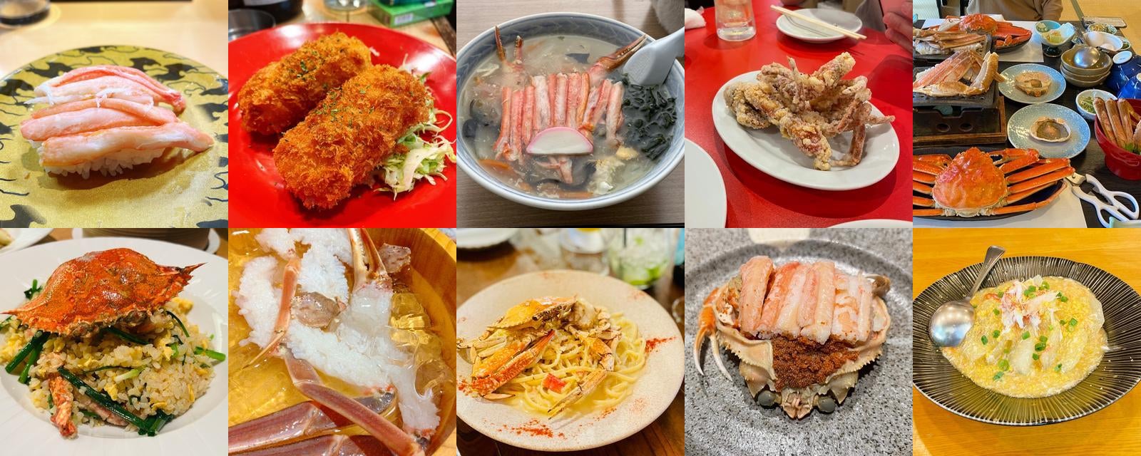 ドワーフクラブ・レピドテルプーサ属<カニ解説>AQUALASSIC