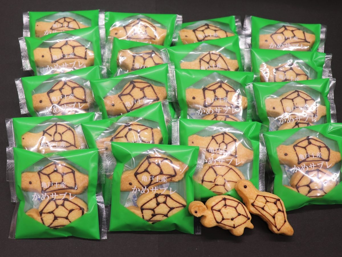 Amazon.co.jp: 亀の形をしたシリコンチョコレート型、ベーキング型、フォンダン型、ケーキデコレーションツール、樹脂型、シリコン。 :ホーム＆キッチン