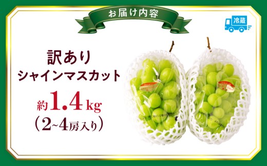 ≪先行予約 2026年発送≫ たっぷり1.2kg 豊橋産 皮ごと 種なしシャインマスカット300ｇ×2 種無し巨峰300ｇ×2 ブドウ ぶどうマスカット フルーツ 甘い 1.2キロ 果物 詰め合わせ 食べ比べ 8月お届け - 愛知県豊橋市ふるさとチョイス - ふるさと納税サイト