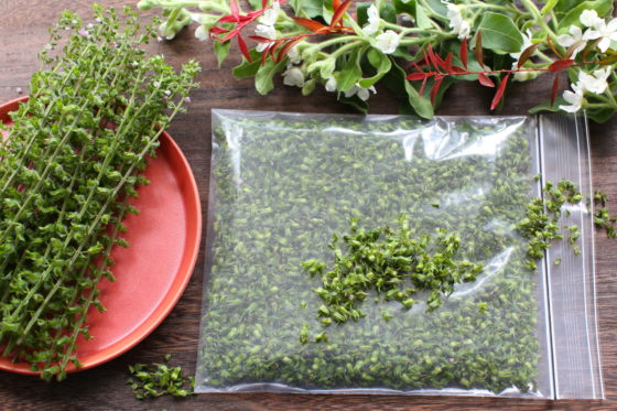 紫蘇の葉、穂紫蘇の冷凍保存vegeflulifeのブログ