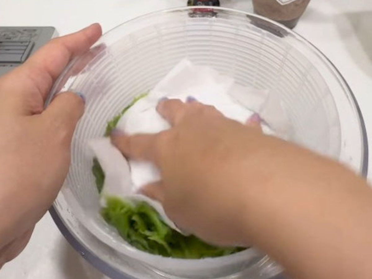 種類別！レタスを美味しく長持ちさせる保存方法 最長３週間、レタスの鮮度を保つテクニックもご紹介！ONIGO通信スーパー価格で、すぐ届く。ONIGO