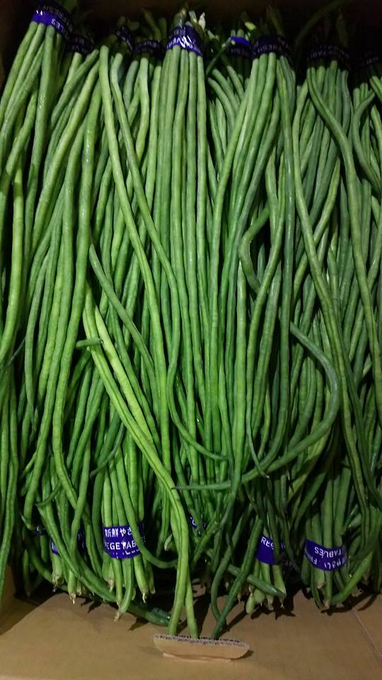 いんげん業務用商品- 富士通商株式会社