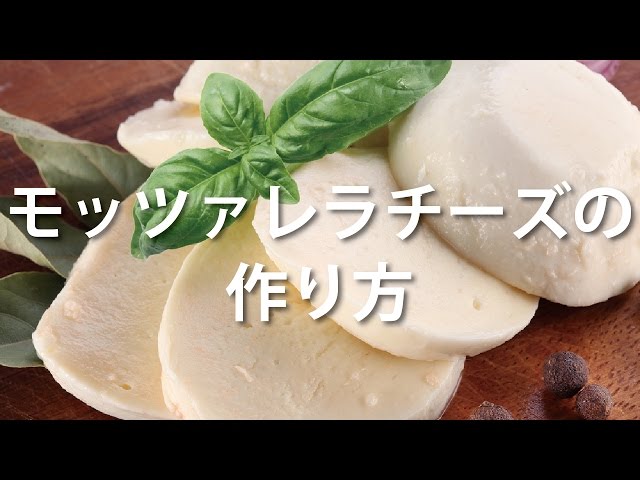 手作りに挑戦！モッツァレラチーズの作り方とおすすめレシピ5選