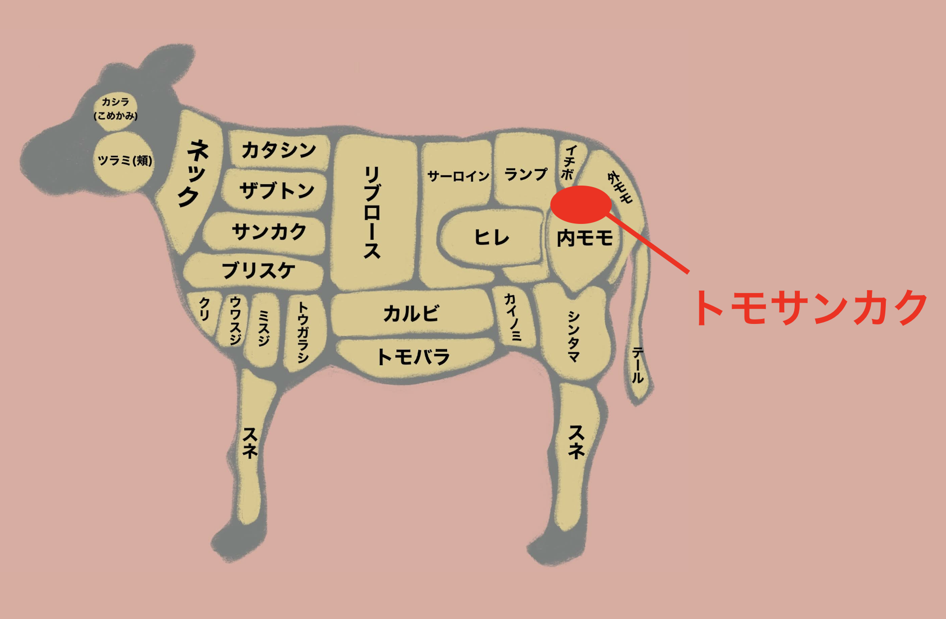 トモ三角 : 土佐料理 旬の鰹がゆく