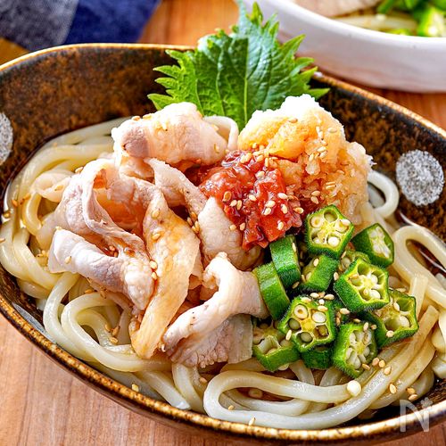 豚しゃぶサラダうどん