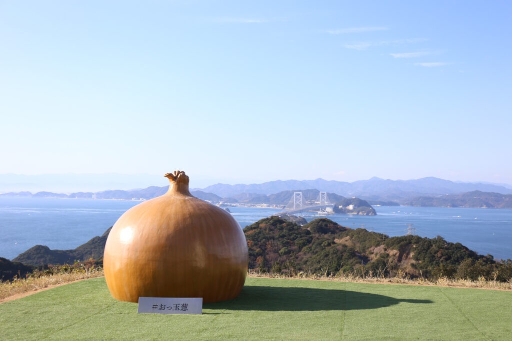 玉ねぎの旬はいつ？ 基礎知識から選び方、上手な保存方法をご紹介