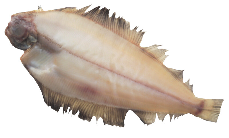 北海道産子持ちナメタガレイの切り身 下処理済み漁場通販のさかなだマート