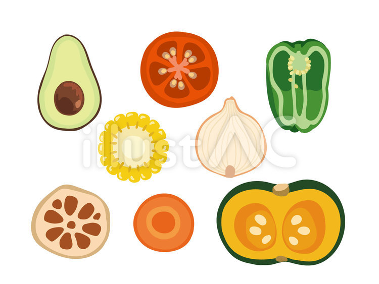 野菜の断面・ブロッコリー3516946 の写真素材 - アフロ