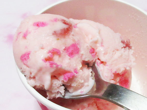 2025年 いちご尽くしの夢の空間ヨコハマストロベリーフェスティバルCAKE.TOKYOケーキドットトーキョー