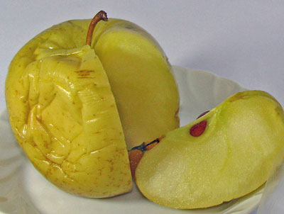 しわしわ～～temtem-code