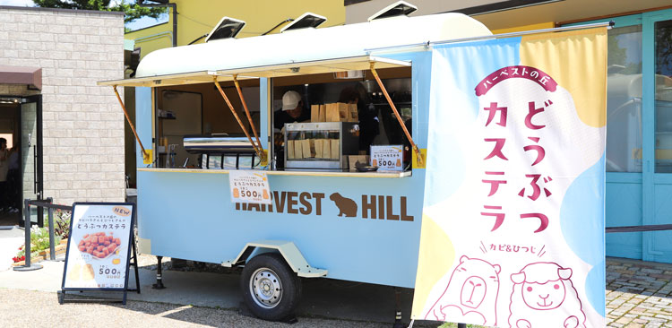 大阪シルバニアパークで異世界体験