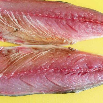 簡単！サバの干物釣具のイシグロ釣り情報サイト