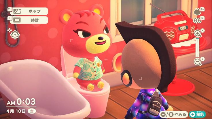 あつ森 2025年版 アセロラの誕生日と性格 あつまれどうぶつの森- アルテマ