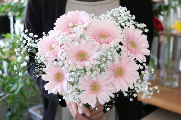 ガーベラの花束でプロポーズ！花言葉や贈る本数は何本？PTM index